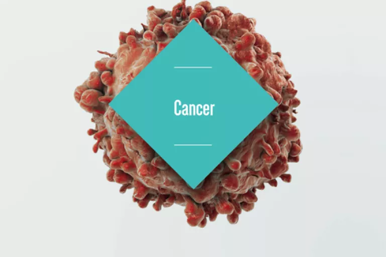 Fact Series - Cancer