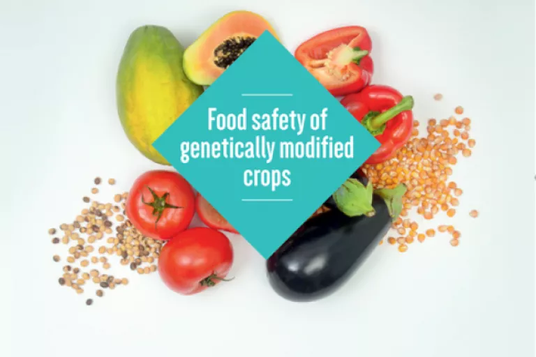 Fact Series - Food Safety Of Genetically Modified Crops