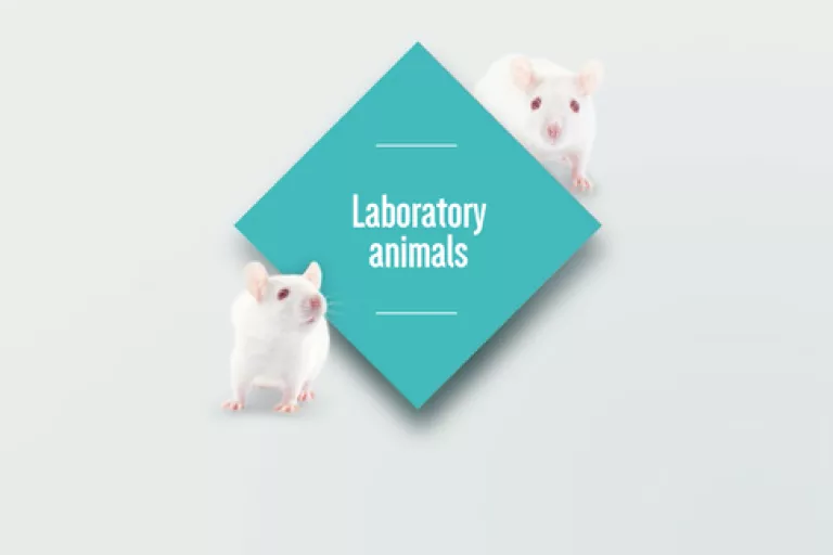 Fact Series - Laboratory Animals