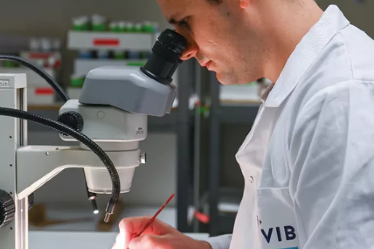 How To Write a Winning Grant