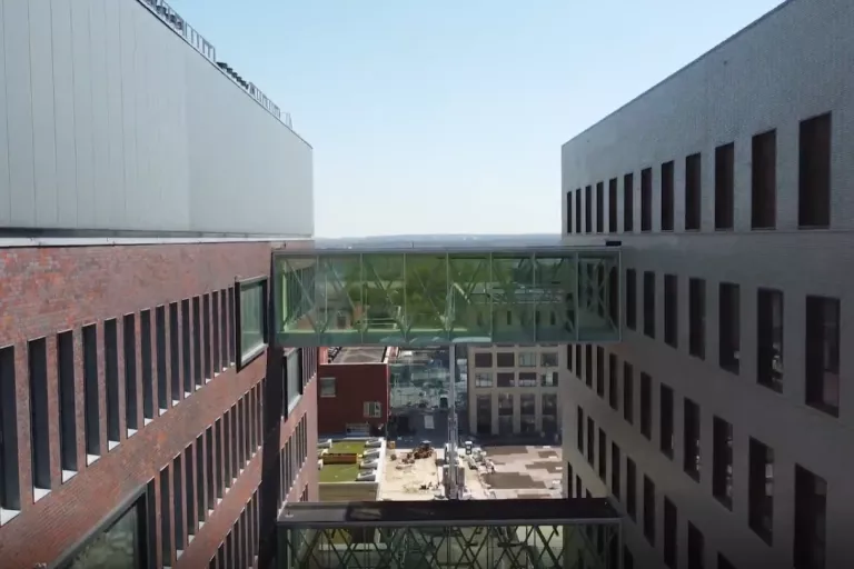 VIB-KU Leuven Center for Brain &amp; Disease Research