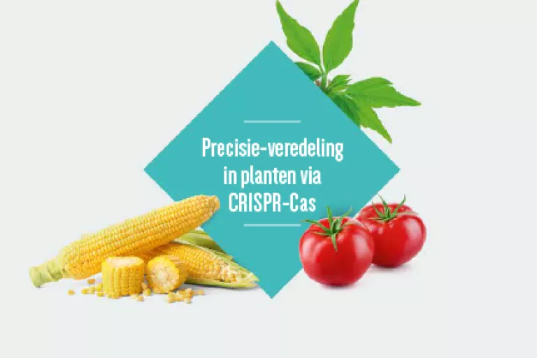 cover dossier CRISPR-Cas in planten