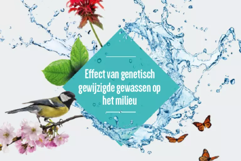 Cover dossier genetisch gewijzigde gewassen