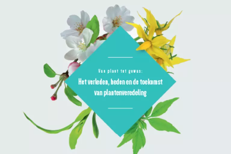 Cover dossier Van plant tot gewas