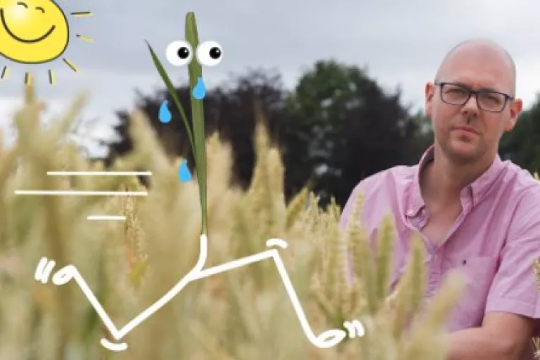 Wat als planten niet kunnen vluchten voor de warmte? - Dag van de Wetenschap