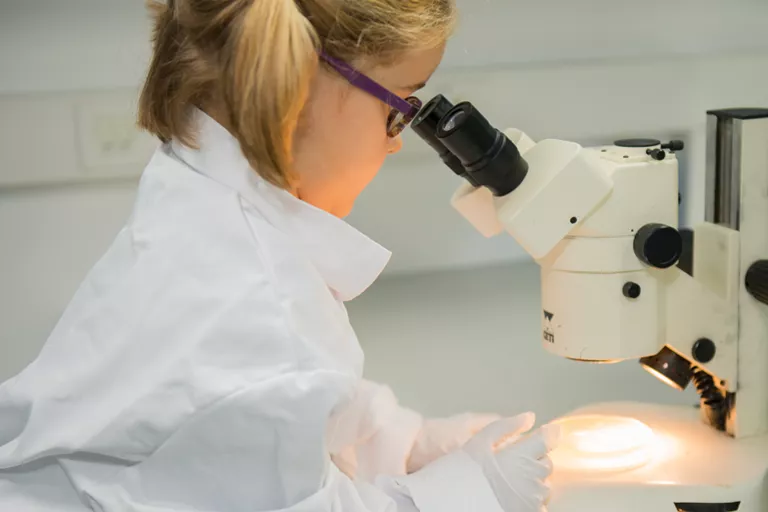 Wat kan je zien onder een microscoop?