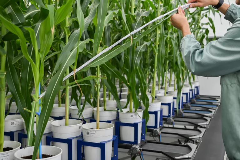 Agribiotech cluster in Ghent