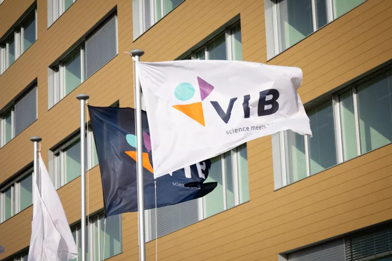 VIB flags