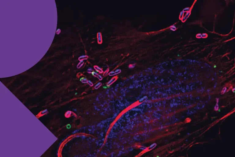 Banner Next-generation mRNA vaccines