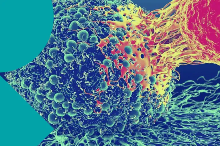 Banner Type 2 immunity in homeostasis and disease