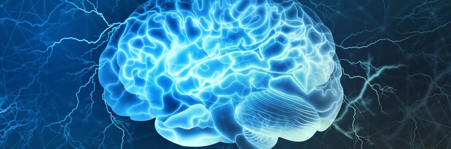 Targeting drugs to the brain