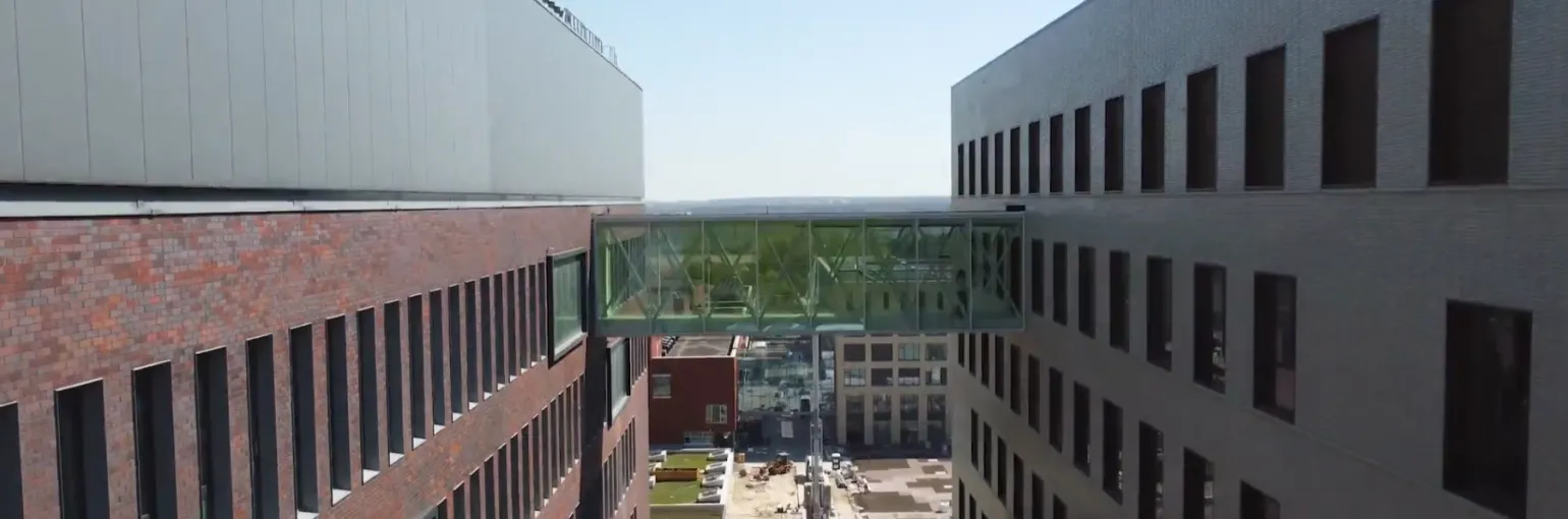 VIB-KU Leuven Center for Brain & Disease Research