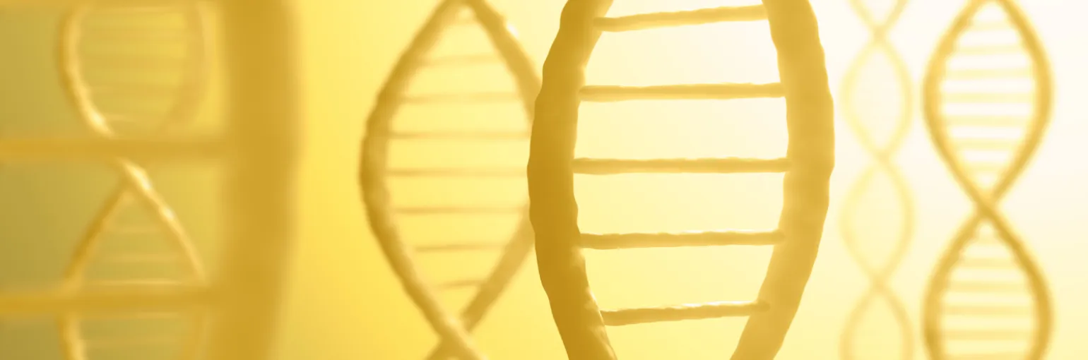 DNA sequencing tools with our technology