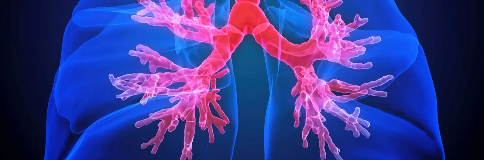 On the road to new asthma therapeutics