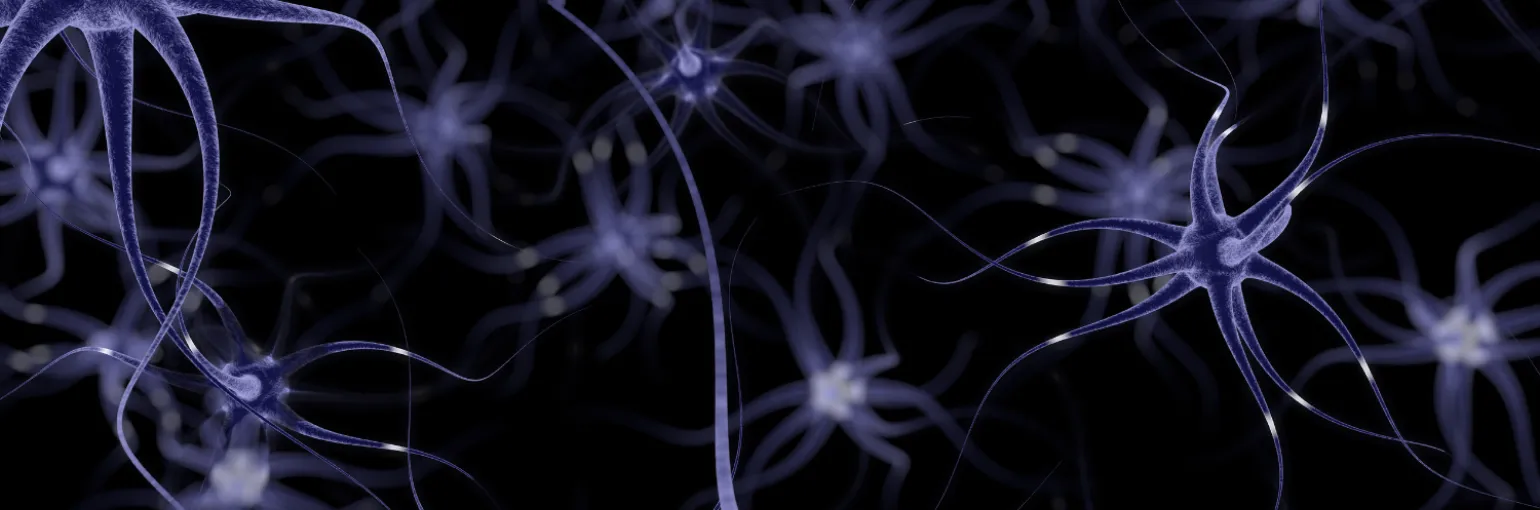 Center for Brain and Disease