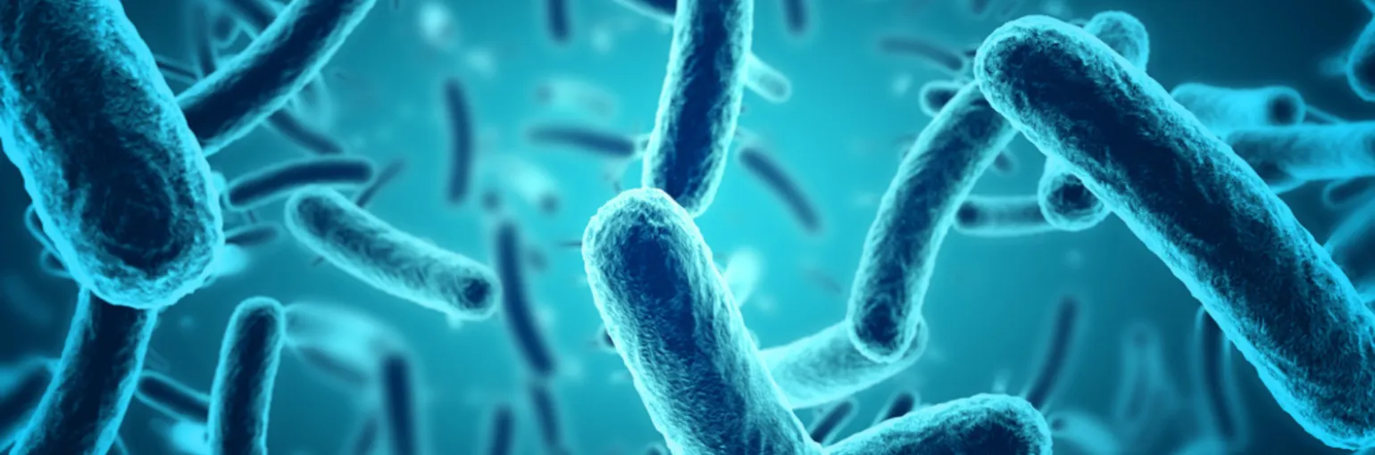 Microbiology
