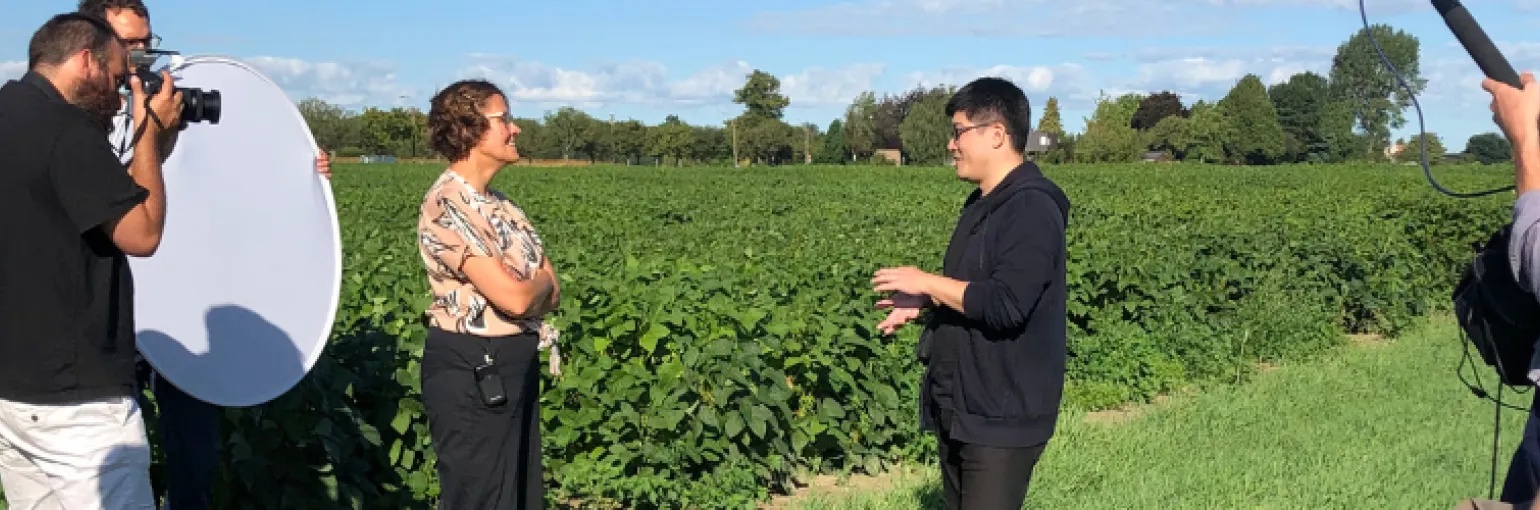 Soy in Flanders