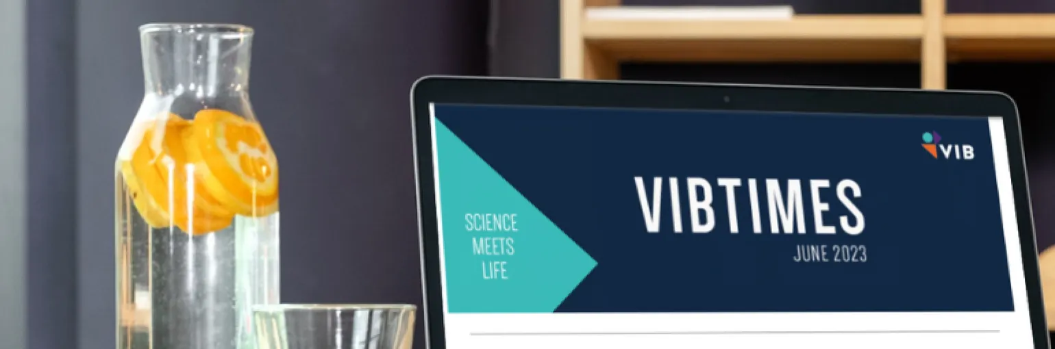 VIBTimes