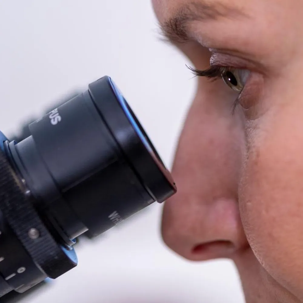 eye at microscope
