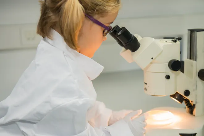 Wat kan je zien onder een microscoop? 