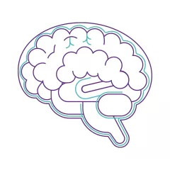 GC - Blood Brain Barriers