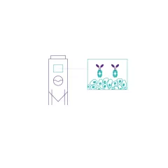Large-scale production of the nanobody