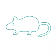 GC - Mouse