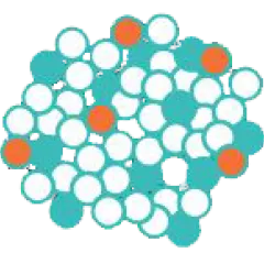 GC - Biopt
