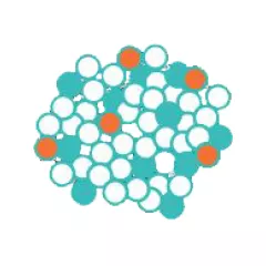 GC - Biopt